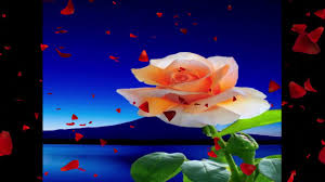 Fie ca nu esti sigur de alegerile facute sau te afli abia la inceput de drum, cu ajutorul acestui test poti afla cateva indicii despre ceea ce tu consideri ca este locul de munca ideal si cariera de vis, cu ajutorul alegerilor facute pentru a petrece timpul liber. Felicitare MuzicalÄƒ Pentru Tine O SearÄƒ De Vis Youtube