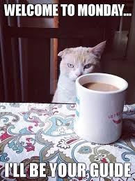 Monday Coffee Memes Yahoo Image Search Results Funny Good Morning Memes Good Morning Funny Funny Good Morning Images
