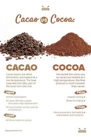 Champurrado, hot chocolate's mexican counterpart; The 8 Best Cocoa Powders In 2021 Daring Kitchen
