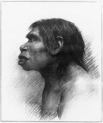 An annotated select bibliography of the Piltdown forgery