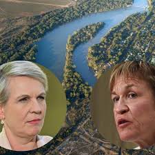 Helen Dalton challenges Tanya Plibersek