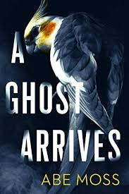 A Ghost Arrives A Novel Kindle Edition By Moss Abe Mystery Thriller Suspense Kindle Ebooks Amazon In 2020 Suspense Books Thrillers Horror Book Covers Novels