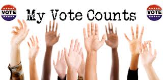 Image result for voting