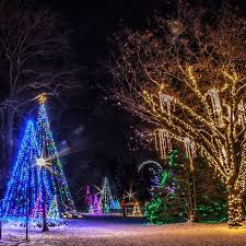Niagara Falls Winter Festival Of Lights Will Officially Open This November Niagara Falls Winter Winter Light Festival Travel Usa