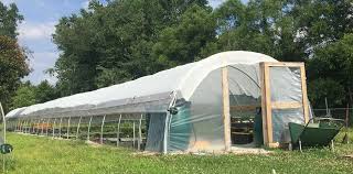 I collected the windows over the course of a year and a half and the build took abou… Build Your Own Greenhouse Kit Shop Diy Greenhouse Kits Online From Bootstrap Farmer