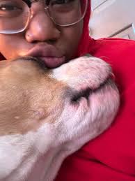 Lost Dog gg Found in Omaha