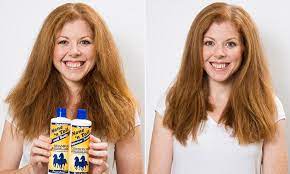 Is A 7 Mane N Tail Shampoo For Horses All You Need For Perfect Hair Daily Mail Online
