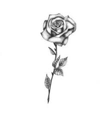 52 Ideas For Tattoo Rose Realistic Black Design White Rose Tattoos Realistic Rose Tattoo Single Rose Tattoos
