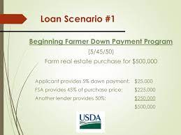 How can i get a farm loan with no down payment. Farm Service Agency Farm Loan Program Ppt Download