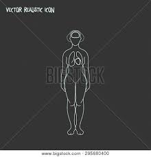 A police officer said it was. Woman Body Icon Line Vector Photo Free Trial Bigstock