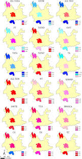 Image result for Buchnera longispicata