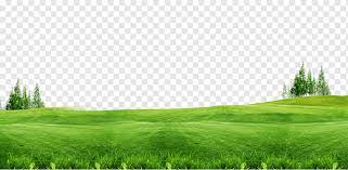 Green field, lawn cartoon grass, green green show cute. Green Grass Field Lawn Gratis Green Grass Background Free Of Material Frame Leave The Material Landscape Png Pngwing