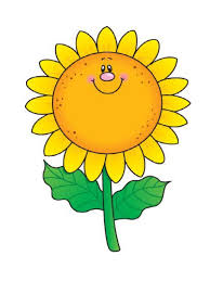 Bunga matahari adalah satu bunga yang sangat disukai berkat bentuknya yang unik. Bunga Matahari