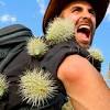 Every cactus lover is going to encounter the painful problem of getting a cactus needle stuck in their skin. Https Encrypted Tbn0 Gstatic Com Images Q Tbn And9gcrf5mex Cugrqtaiz4qcqh 8suviyf2vc Vvihqipby1g7gm5dj Usqp Cau