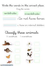 Entdecke rezepte, einrichtungsideen, stilinterpretationen und andere ideen zum ausprobieren. Vertebrates And Invertebrates Interactive Exercise