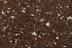 Pro mix is all i use for all my growing. What Is Soilless Potting Mix And Why Is It So Important