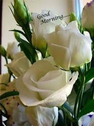When designing a new logo you can be inspired by the visual logos found here. Good Morning White Rose Flower Images