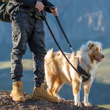 Explore Harness Padded Harness Rogz