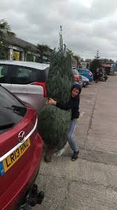 Steve Gerrish (@stevegwwd)