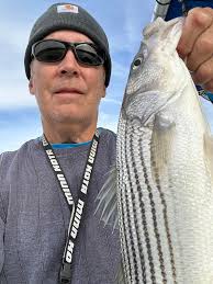 Are there still marlins in good numbers?