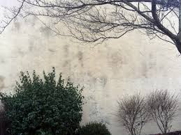 Latex paint without primer and a separate oil based primer if you need to seal anything currently on the wall. Stains On Exterior Stucco Should Be Cleaned Not Painted Over Silive Com