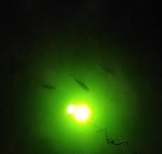 3450 Lumens 12v Only 1 Yr Warranty Fishing Lights Night Fishing Saltwater