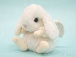 兔子の兔子 豆瓣 doll toys teddy toys