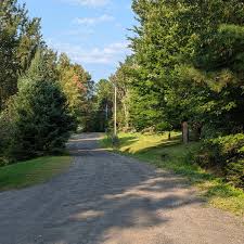 EXHIBIT] A Brome street named after a family of builders... here's the  story of Eldridge Street! 👀 According to our archives, this street was  probably named after the Eldridges, who settled in