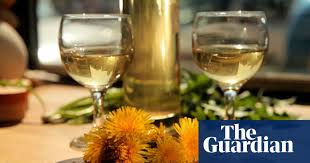 How To Make Dandelion Wine Wine The Guardian