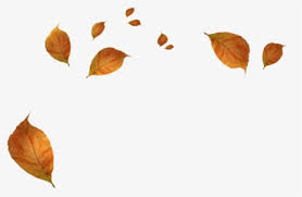 Log in to save gifs you like, get a customized gif feed, or follow interesting gif creators. Falling Leaves Png Images Free Transparent Falling Leaves Download Kindpng