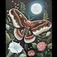 "Lunar Moth" Sip & Paint @ Cliff's of Moher Irish Pub