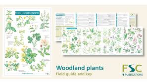 Fsc Fold Out Id Chart Woodland Plants Identification Chart