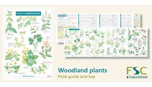 fsc fold out id chart woodland plants identification chart