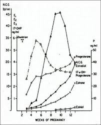 Endocrinology Of Pregnancy Endotext Ncbi Bookshelf