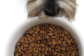 Review Solid Gold Premium Holistic Dog Food Dog Milk Dog Food Recipes Cook Dog Food Holistic Dog Food
