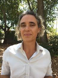 Artificial reefs offer hope with fish numbers, but concern for corals off  Darwin