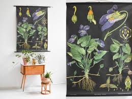 Botanical Print Botanical Posters Antique Botanical Prints Botanical Wall Chart Black Poster Educational Poster Pull Down Chart