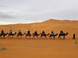 Lees wat wij onder handgemaakt, vintage en materialen verstaan. Wonderful Sahara Experience With Hassan Review Of Sahara Camel Tours Fes Morocco Tripadvisor