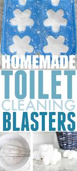 Use a toilet bowl scrub brush and flush. Homemade Toilet Cleaning Tabs The Creek Line House