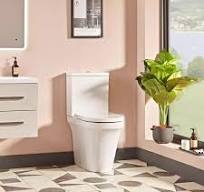 Wholesale Luxury pan dual flush toilet masana'antun da masu ...