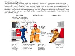Study Area 11 Stress And Health Ppt Download