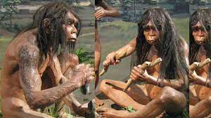 We did not find results for: Materi Lengkap Mengenai Zaman Paleolitikum