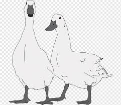 Free Free 302 Snow Goose Svg SVG PNG EPS DXF File