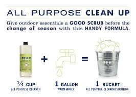 Pin By Michelle Zbrzezny Brownschidle On Do Your Chores Young Lady Cleaning All Purpose Cleaners Cleaning Solutions