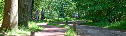 In het gezellige centrum van delden zijn veel authentieke, zelfstandige winkels en speciaalzaken gevestigd. Fietsen En Wandelen In Delden Hotel Het Wapen Van Delden