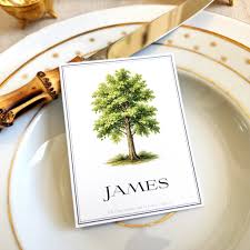 Set/ 12-America in Sycamore Tree- Custom Place Cards- Omni