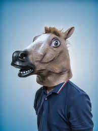 Horse Head Mask Portraiture Horse Head Mask Horses Horse Head
