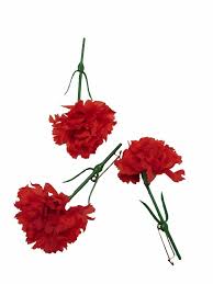 Order simple, safe, fast and without Ddr Mainelke Mit Anstecknadel Rot