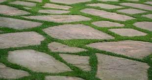 Flagstone With Grass Between Stones Google Search Patio Stones Backyard Patio Flagstone Patio