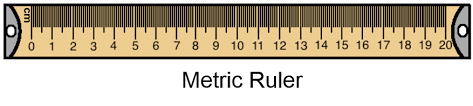 Record the measurements on the template. How To Read A Ruler Marking Basic Measurement Scoopify